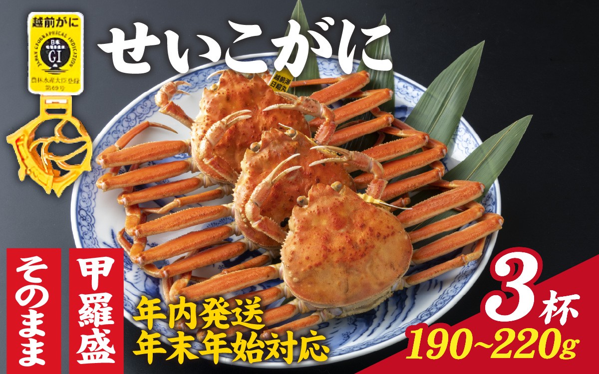 
                  【先行予約】選べる！美味しさ直送【成前特選】せいこがに（190g～220g）×3杯【年内発送・年末年始対応】 【年内発送 年内お届け】[J-028011] / 正月 ズワイガニ 甲羅盛り 越前がに かに 蟹 楚蟹 セイコ蟹 越前かに 香箱がに こうばこがに 親ガニ こっぺがに せこがに 甲羅蟹 甲羅がに 香箱蟹 メス ずわいがに カニ セイコガニ 姿
                