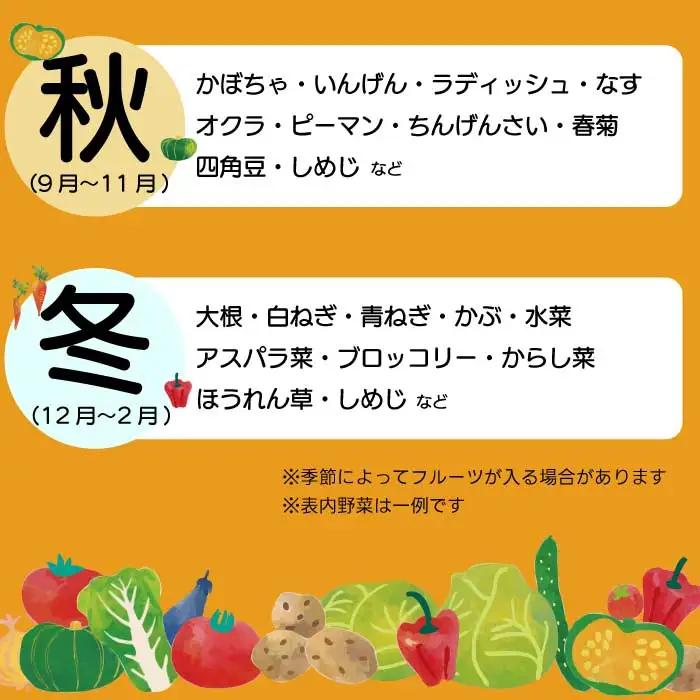 【12か月定期便】道の駅セレクト 旬野菜つめあわせ やさい 野菜 詰め合わせ 7～10品目 新鮮 国産 健康 ヘルシー サラダ 鍋 季節 043043