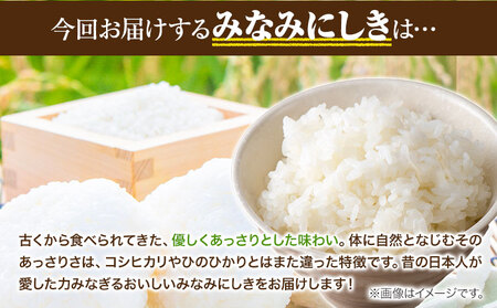 米 【3ヶ月定期便】令和5年産 みなみにしき 玄米 5kg 熊本県 荒尾市産 米 玄米 定期 つゆくさ農園 《お申込み月の翌月から出荷開始》