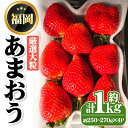 【ふるさと納税】＜先行予約受付中・数量限定＞2025年2月からお届け！厳選大粒あまおう(計約1kg・約250～270g×4P) 苺 いちご イチゴ フルーツ 果物 くだもの 手作り スイーツ ＜離島配送不可＞【ksg1249】【THE FARM_strawberry】