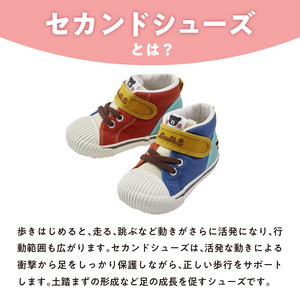 ダブルB　セカンドベビーシューズ（マルチカラー15.0cm）_ミキハウス ダブルB セカンドシューズ マルチカラー サイズ 15.0cm BOX 付 2E 設計 オックス 素材 足 保護 正しい歩行 