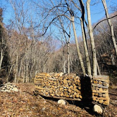 ふるさと納税 御代田町 林業芸術社　2年乾燥薪(広葉樹約22cm /約5kg分/中割り〜)御代田町面替 |  | 01