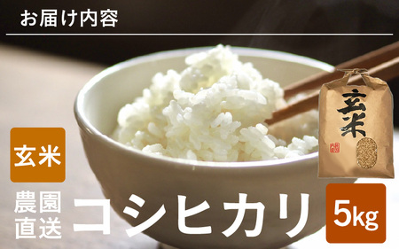 【先行予約】【令和8年産・新米】【玄米 5kg】 コシヒカリ 5kg 【2026年10月上旬以降順次発送】 [A-8934_02]