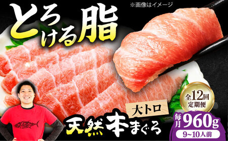 【全12回定期便】たね熟天然本まぐろ大トロ(960g) [AOCE030] まぐろ