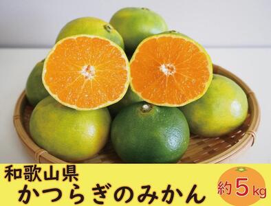 かつらぎのみかん 約5kg S～Lサイズ混合 【2024年10月中旬～2024年11月下旬頃】