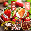 【ふるさと納税】古都華・淡雪 250g×各1P／奈良県 苺 先行予約 ジャム 数量限定 期間限定 ブランド 人気 ギフト プレゼント 食べ比べ いちご 白 J-berryグループ「ICHIGO」 前田ストロベリー研究所