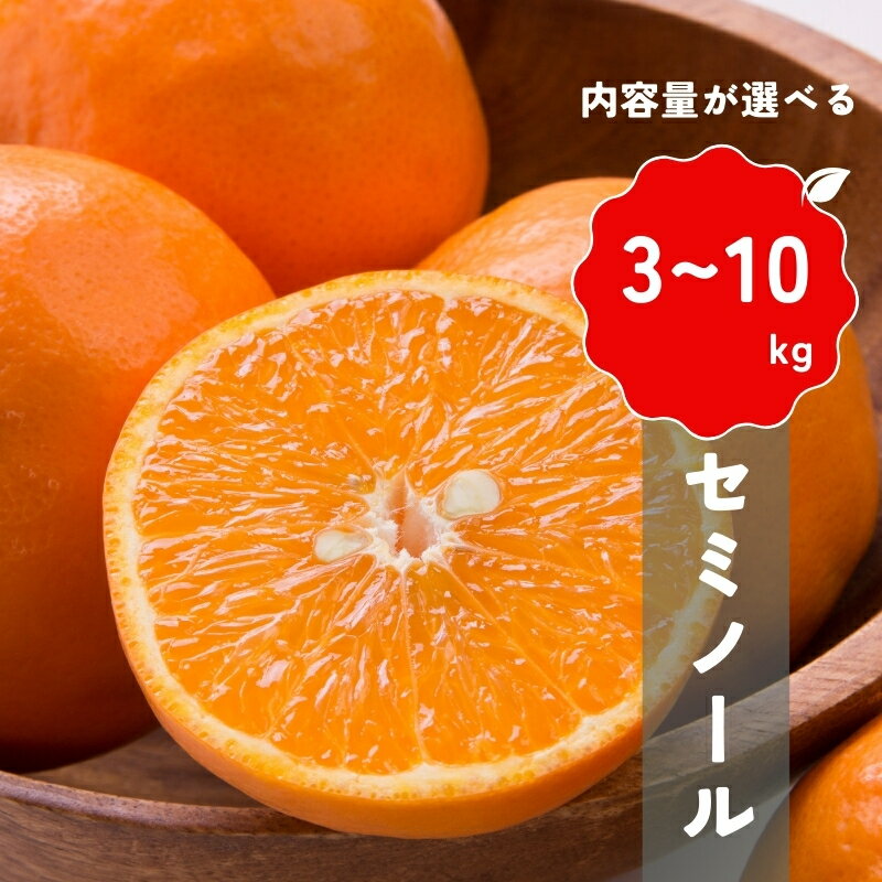 【ふるさと納税】 【先行予約】＼容量が選べる／ 橋本農園の セミノール 【2026年3月中旬から4月中旬に順次発送】 / セミノール 柑橘 フルーツ 果物 くだもの 先行予約