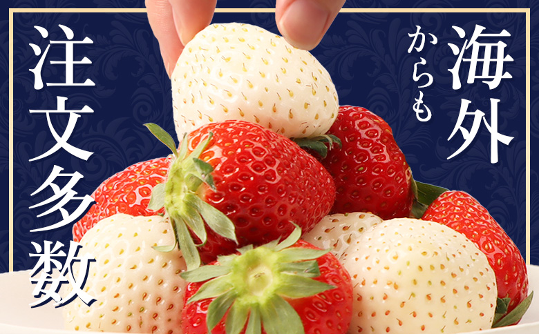 【北海道産】ゆきいちご（ゆきぼたん/紅ほっぺ）白×ＭＩＸ　2Ｐセット　各250g×2 計500g【59002】_イメージ2