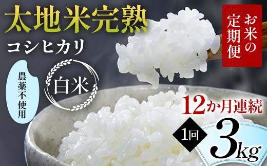 お米の定期便 農薬不使用米 太地米完熟 【こしひかり】 白米3kg×12か月連続 ブランド米 お米 精米 白米 人気 F7X-0407