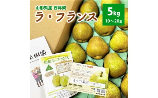 西洋梨（ラフランス）５ｋｇ　１０～２０玉　ご家庭用　0079-2617