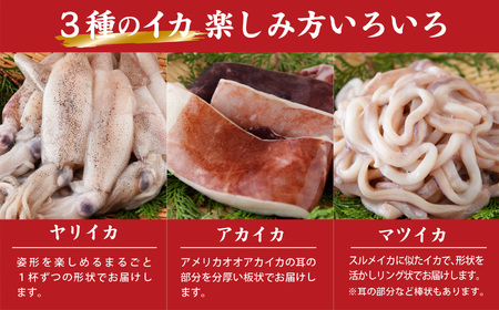 【訳あり】３種のイカ たっぷり ３kg ! ＜加熱用＞ ヤリイカ、アカイカ、マツイカ 詰め合わせ 小分け 下処理済　煮物 からあげ 天ぷら 炒め物 サラダ おつまみ などに 使いやすい 烏賊 イカ 海