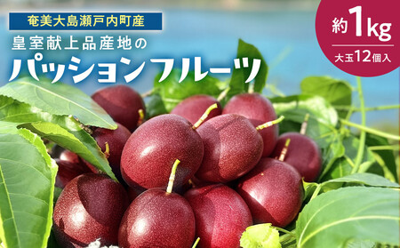 2026年発送 皇室献上品産地のパッションフルーツ 奄美大島産 大玉 12個入り 約1kg 先行予約