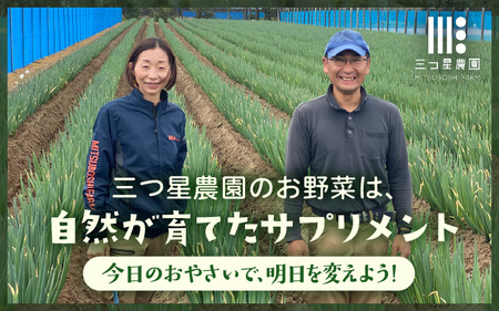 【先行予約】ビタミンCと葉酸たっぷり「畑のサプリ白ネギ」食べきり3袋【2025年11月以降順次発送予定】【長ネギ 長ねぎ 葱 長葱 白葱 野菜 鍋 贈答 ギフト】 [A-2613]