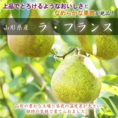 【令和7年産先行受付】山形県中山町産 大粒芳醇「ラ・フランス」3kg(6～9玉)特秀品