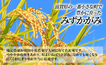 【定期便】令和7年産新米　滋賀県豊郷町産　近江米 みずかがみ　5kg×10ヶ月 お米 白米 ごはん ライス 主食 炭水化物 おにぎり 