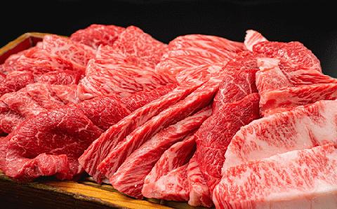 【川岸畜産】神戸ビーフ 牝<特上> 焼肉 おまかせセット 500g　25-10