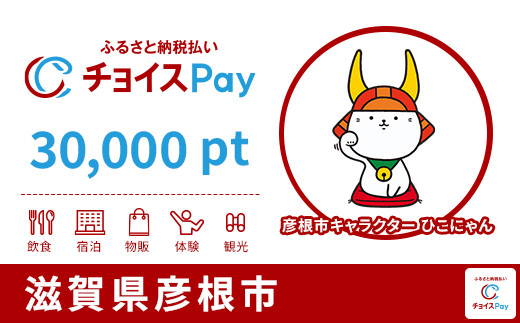 
            彦根市チョイスPay 30,000pt【会員限定のお礼の品】
          
