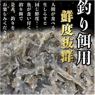 ふるさと納税 南知多町 【船釣りにも最適】知多半島産 生しらす(釣り餌用)200g×1袋|岬だより |  | 01