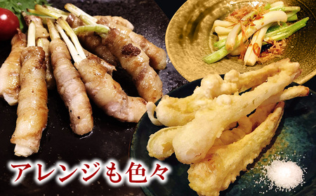 【2026年1月より順次発送】久米島の潮風育ち！島らっきょう 4kg 農家直送 国産 新鮮 旬 沖縄 島野菜 鮮度 塩漬け 天ぷら 肉巻き キムチ 漬け物 レシピ アレンジ 人気 おつまみ シャキシャ