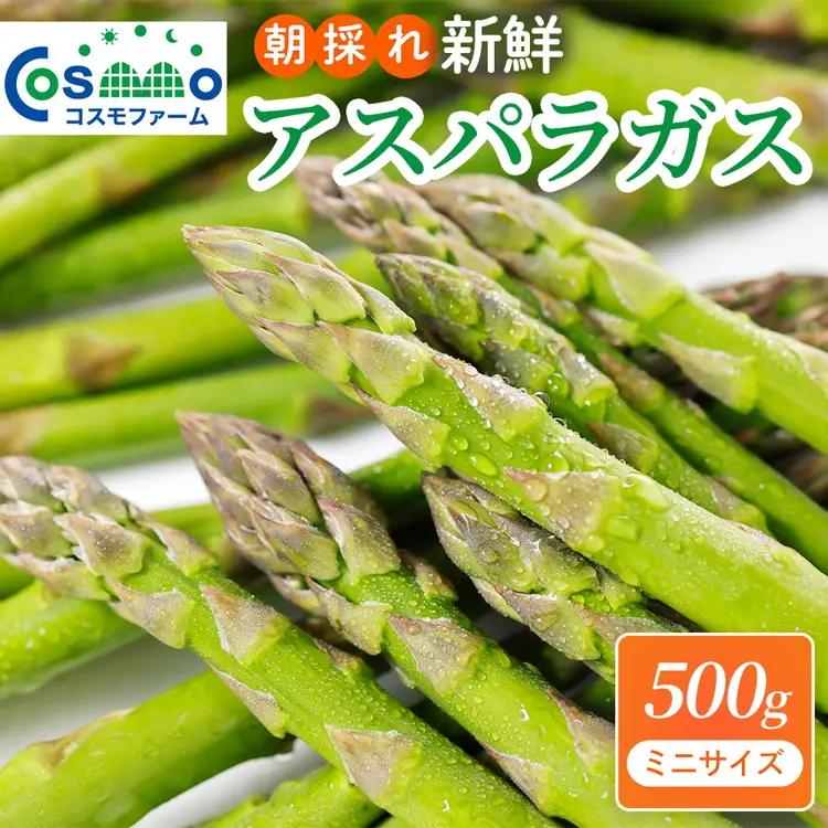 朝採り新鮮アスパラガス 500g【ミニサイズ】 | アスパラガス
