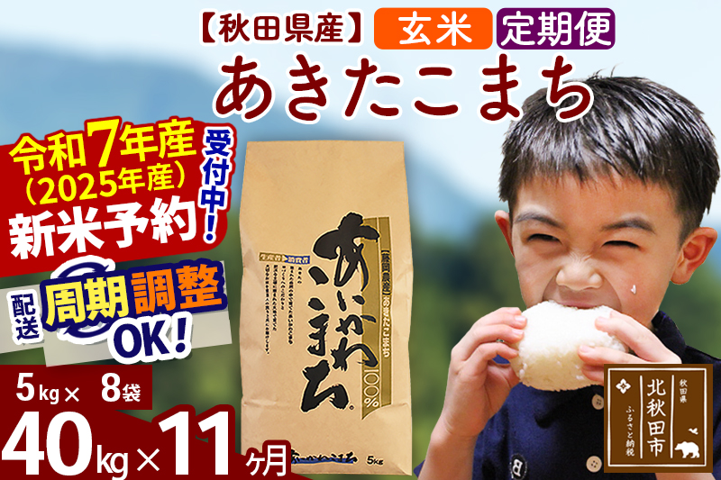 ※令和7年産 新米予約※《定期便11ヶ月》秋田県産 あきたこまち 40kg【玄米】(5kg小分け袋) 2025年産 お届け周期調整可能 隔月に調整OK お米 藤岡農産