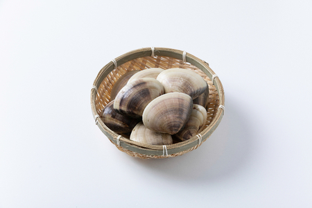 活はまぐり 約2.5kg (100-140gサイズ) はまぐり 蛤