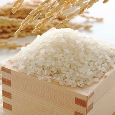 ふるさと納税 大野城市 【毎月定期便】福岡県産米『夢つくし』5kg(大野城市)全6回 |  | 01
