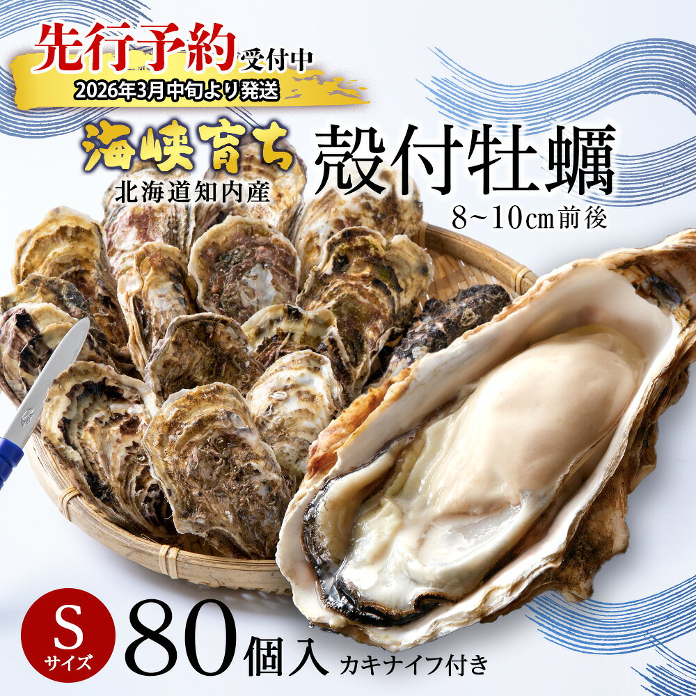【ふるさと納税】【2026年3月中旬以降発送】海峡育ち 殻付き牡蠣 Sサイズ 80個入り カキナイフ付＜上磯郡漁業協同組合＞ 生牡蠣 かき カキ 貝 海鮮 BBQ 鍋 ギフト知内町 ふるさと納税 北海道産牡蠣 カキ 北海道 牡蠣 ふるさと納税牡蠣 牡蠣 産地直送