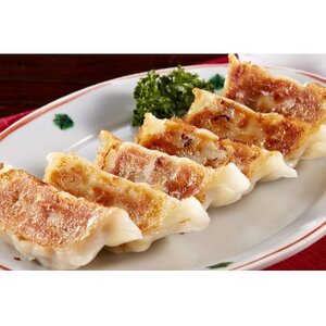 庄原特産　比婆牛・広島菜餃子　計4パック【配送不可地域：離島】【1704472】