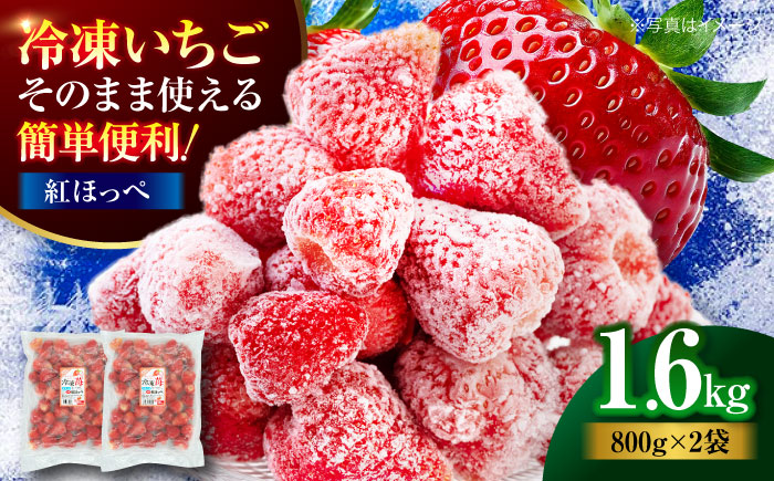 【冷凍】おいしさそのままぎゅっと閉じ込めました！紅ほっぺ800g×2パックセット　愛媛県大洲市/沢井青果有限会社 [AGBN041]苺 イチゴ スイーツ ケーキ かき氷 いちごパフェ ストロベリー お