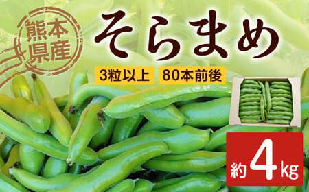 熊本県産 そらまめ 約4kg 3粒以上 80本前後 野菜 豆類 そら豆 【2025年4月上旬‐4月下旬迄発送予定】