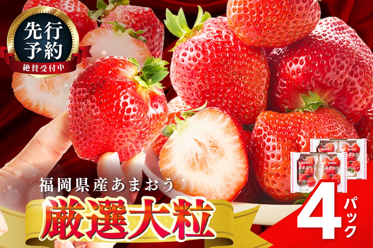 
                  【2027年先行予約】厳選大粒あまおう(約250-270gx4パック)【044-0077】
                