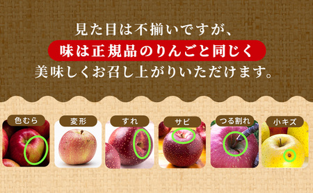 【12月発送】訳あり 家庭用 ちとせ村 葉とらずサンふじ 約5kg【弘前市産・青森りんご】