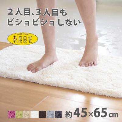 ふるさと納税 海南市 乾度良好 Dナチュレ バスマット 約45×65cm ホワイト 吸水速乾 裏面すべり止め加工
