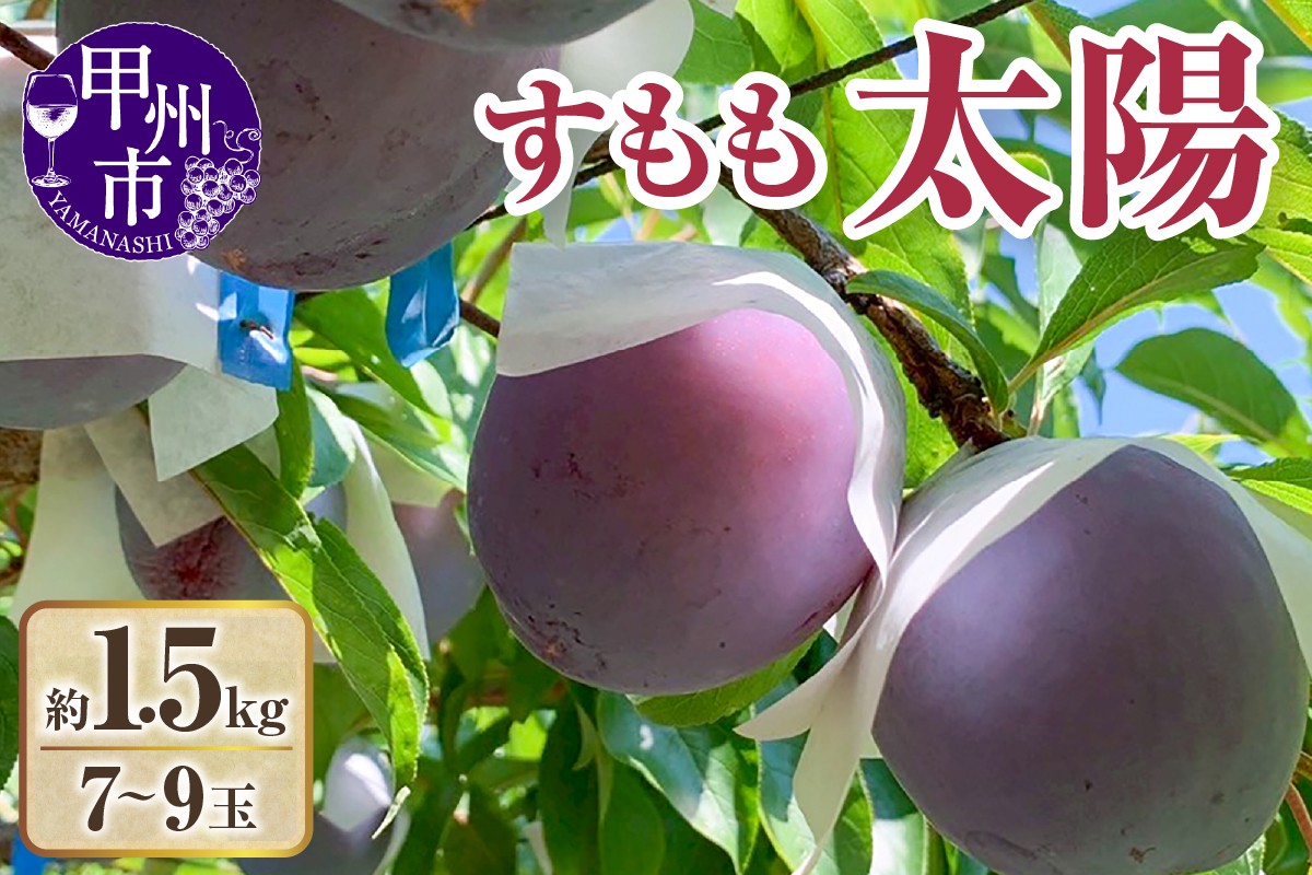 
            【クール配送】すもも（太陽）7～9玉（約1.5kg）【2026年発送】（KFT）C-1811 【太陽 すもも スモモ 令和8年発送 期間限定 山梨県産 甲州市 フルーツ 果物】
          