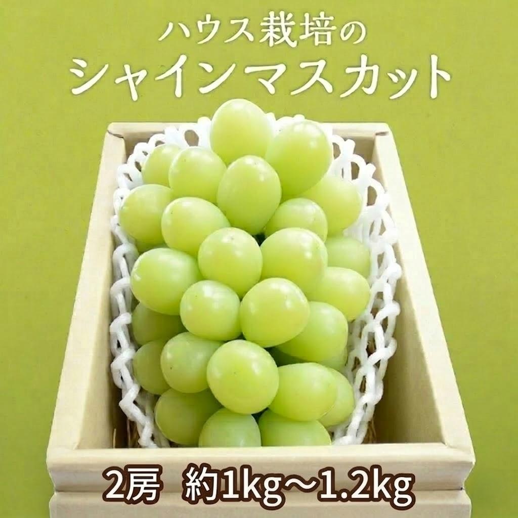 【ふるさと納税】ハウス栽培 の シャインマスカット 2房 ( 約1kg〜1.2kg ) 令和8年産 先行予約 ぶどう ブドウ 葡萄 フルーツ
