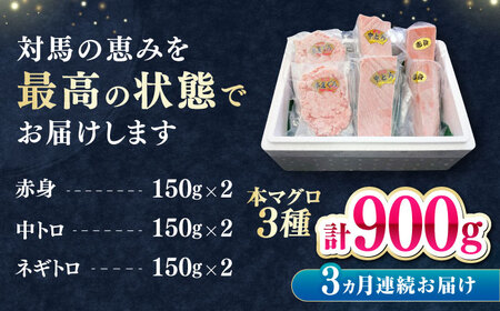 【全3回定期便】 対馬産 本マグロ 3種 計900g（赤身/中トロ/ネギトロ）《対馬市》【対海】 冷凍配送 食べ比べ 贈り物 魚介類[WAH040]