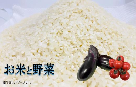 
            ≪予約受付中≫TR-02◆米５kgとちょっと野菜の詰め合わせ【令和７年産の新米】　ひのひかり 精米 白米 ヒノヒカリ 産地直送 5kg 採れたて野菜 新鮮 ごはん
          