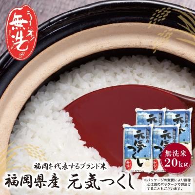 ふるさと納税 福智町 無洗米 元気つくし20kg