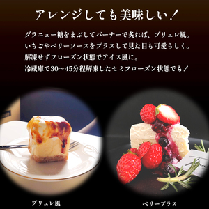 バニラ チーズケーキ 1台 約500g 4～6名 冷凍 バニラチーズケーキ チーズケーキ１台 冷凍チーズケーキ チーズケーキ500g