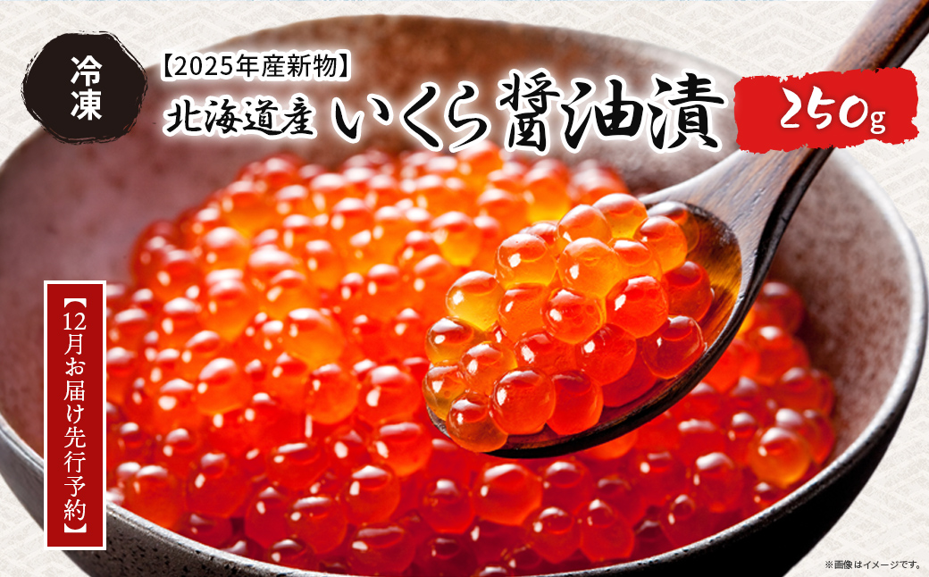 【12月お届け先行予約】【2025年産新物】北海道産 いくら醤油漬（冷凍）250g ABAB006