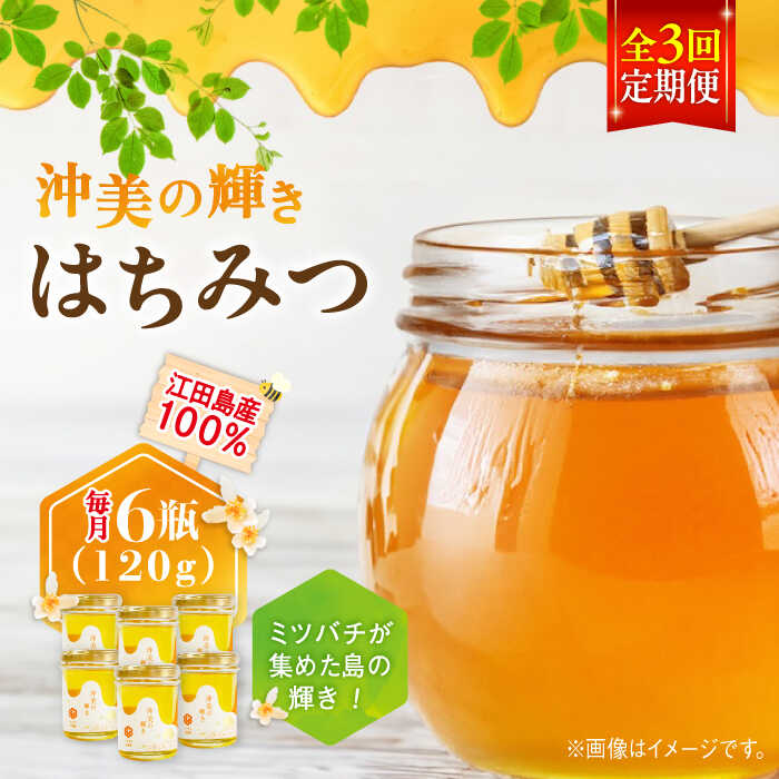 【ふるさと納税】【全3回定期便】江田島産100％ はちみつ『沖美の輝き』120g×6本 はちみつ ハチミツ 蜂蜜 ジャム ハニー 非加熱 純粋はちみつ パン 国産 常温 備蓄 保存食 非常食 セット 小分け ギフト 広島県 人気 送料無料 江田島市/はつはな果蜂園 [XCD021]