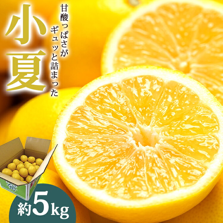 【ふるさと納税】【先行予約】小夏（日向夏）約5kg - 2026年3月より順次配送 果物 柑橘 フルーツ くだもの ひゅうがなつ ニューサマーオレンジ 甘酸っぱさがギュッと詰まった 期間限定 のし対応可 送料無料 高知県 香南市【常温】