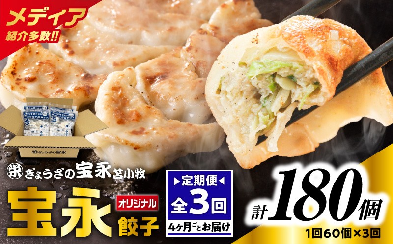 
                  【全3回定期便（4ヶ月毎）】ぎょうざの宝永 宝永餃子 15個入セット（宝永餃子15個入×4袋）合計1.5kg　T004-T01-01
                