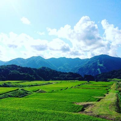 ふるさと納税 村上市 【令和7年産米】新潟県岩船産　棚田米コシヒカリ12kg　B4107 |  | 03