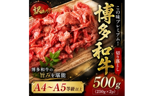 訳あり!＜A4～A5＞この味プレミアム!博多和牛切り落とし 500g(250g×2p)【1767488】