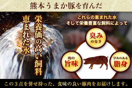 【トレー包装】豚 肉 小分け しゃぶ しゃぶ 3種 熊本 うまか ポーク スライス 1.5kg 熊本県産 冷凍 豚 豚肉 個別 個別包装 取分け 豚しゃぶ ぶたしゃぶ ロース バラ 肩ロース 鍋 フィ