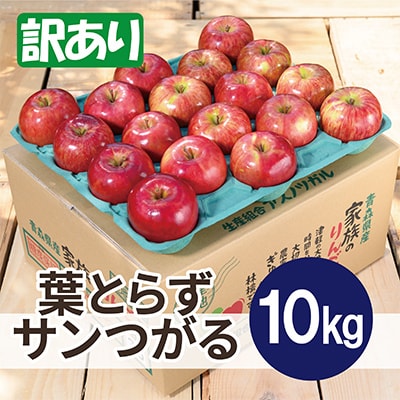 【2025年10月発送予定】平均糖度12度以上! 葉とらずサンつがる 約10kg 訳あり【配送不可地域：離島・沖縄県】