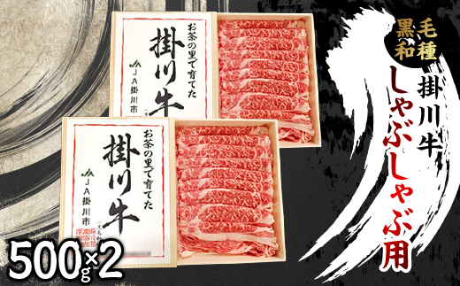 掛川牛(黒毛和種)しゃぶしゃぶ用 500g×2(冷凍)【配送不可地域：離島・北海道・沖縄県・四国・九州】【1670597】