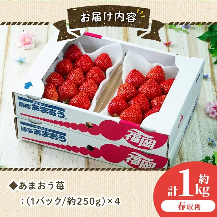 ＜先行予約受付中！2027年2月上旬～2027年3月末に順次発送＞あまおう苺・春(4P)いちご 苺 フルーツ 果物 くだもの 福岡限定  家庭用 冷蔵 ＜離島配送不可＞【ksg0045】【南国フルーツ